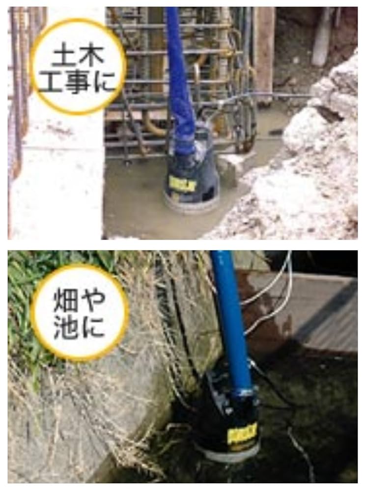 Amazon.co.jp: 工進(KOSHIN) 汚水用 水中ポンプ ポンスター PX